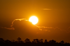 Sunrise skyscape, Alligator River NWR, North Carolina